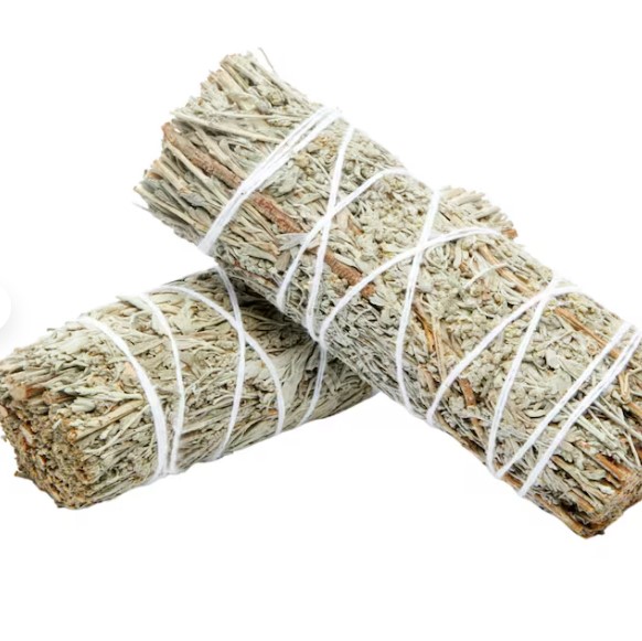 Salvia Blu