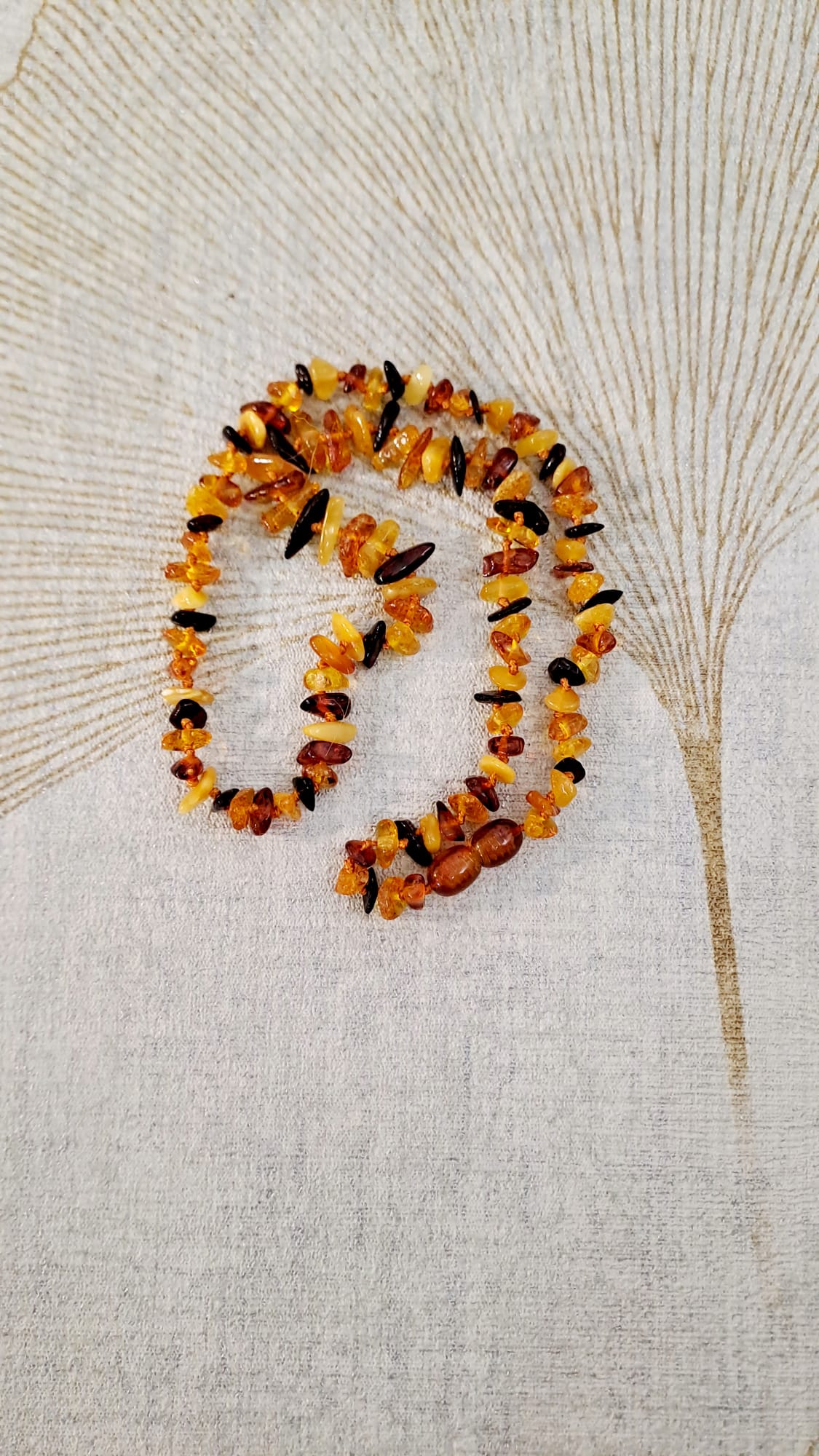 Collana Ambra Adulto Multicolor