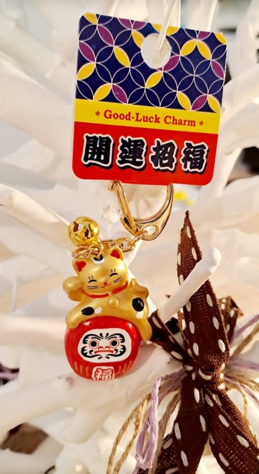 Campanellino Daruma & Maneki oro